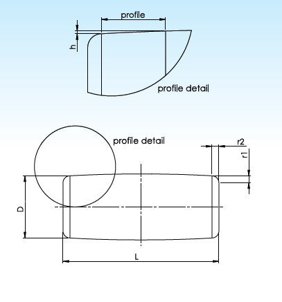 SKF RC-5,5X5,5 C ložisková valček